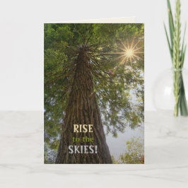 RISE感動的 Photo of a Tree to the Sky カード