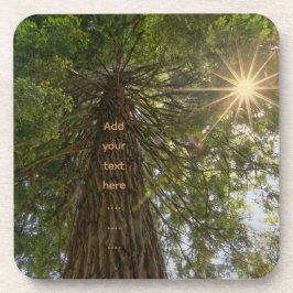 RISE感動的 Photo of a Tree to the Sky コースター