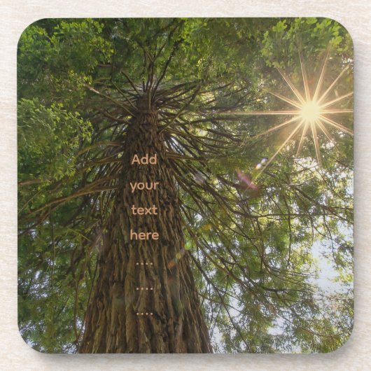 RISE感動的 Photo of a Tree to the Sky コースター (正面)