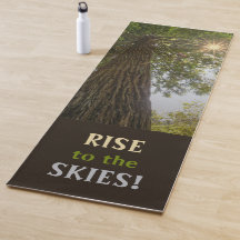 RISE感動的 Photo of a Tree to the Sky