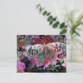 Rising Dawn Butterflyはがき ポストカード (スタンド正面)