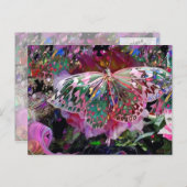 Rising Dawn Butterflyはがき ポストカード (正面/裏面)
