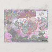Rising Dawn Butterflyはがき ポストカード (裏面)