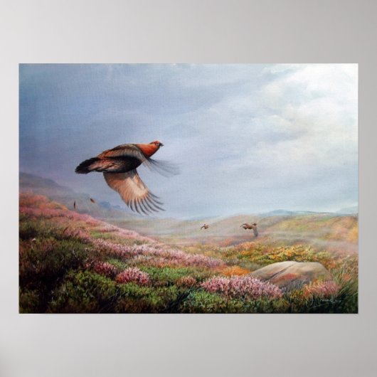 'Rising Grouse' – キャンバス上のプリント ポスター (正面)