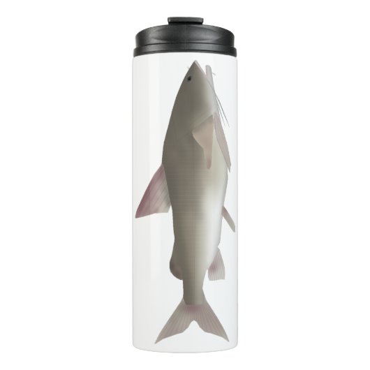 Rita タンブラー (正面)