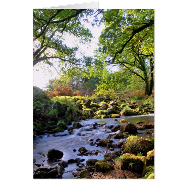 「River著 (正面)