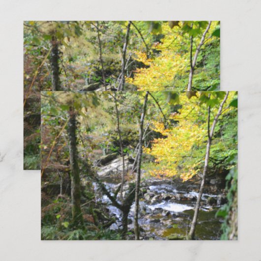 river ポストカード (正面/裏面)