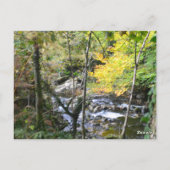 river ポストカード (裏面)