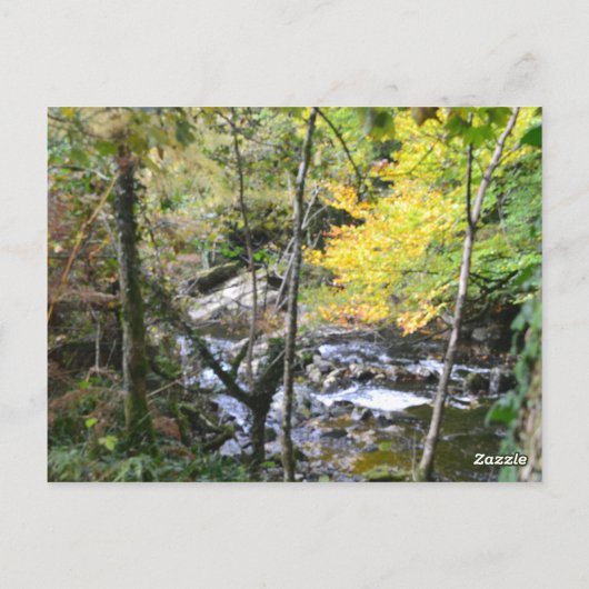 river ポストカード (裏面)