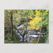 river ポストカード (正面)