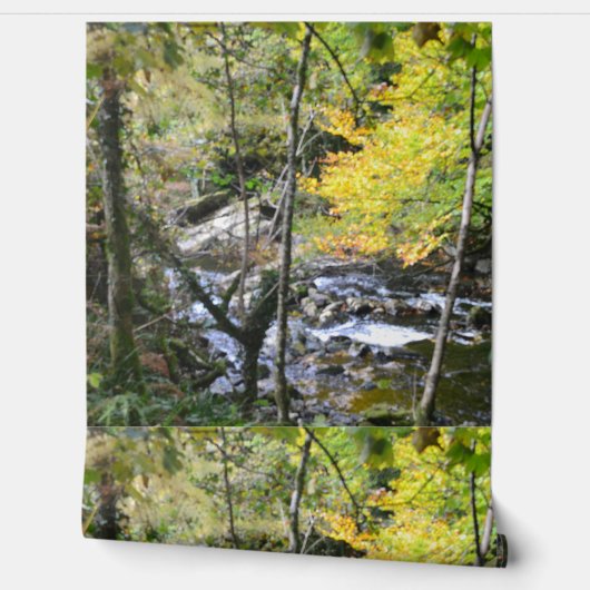 river 壁紙 (ほどく)