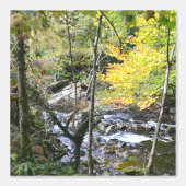 river 壁紙 (正面)