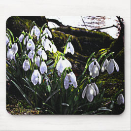 River Hafern Mouse matによる雪下げ マウスパッド