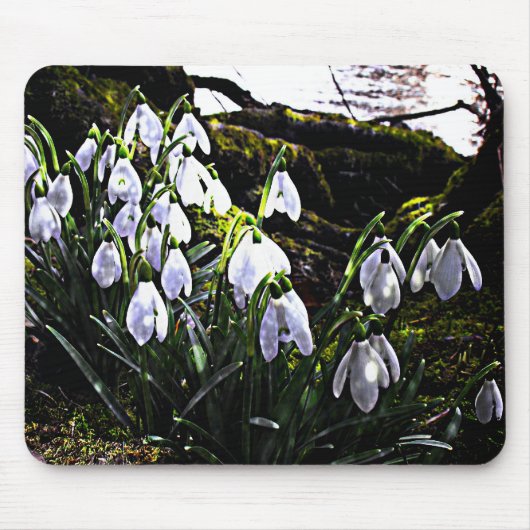 River Hafern Mouse matによる雪下げ マウスパッド (正面)