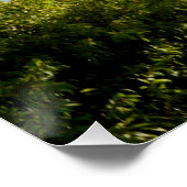 River Murray Australiaビュー、ポスター ポスター (コーナー)