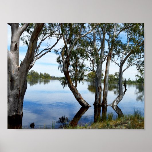 River Murray Australia、Just Beautiful、Poster ポスター (正面)