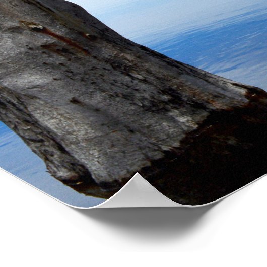 River Murray Australia Photo Collage, Poster ポスター (角)