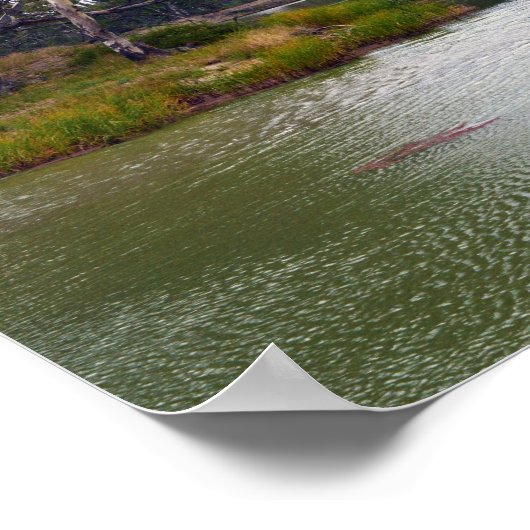 River Murray Australia The Bend, Poster ポスター (角)