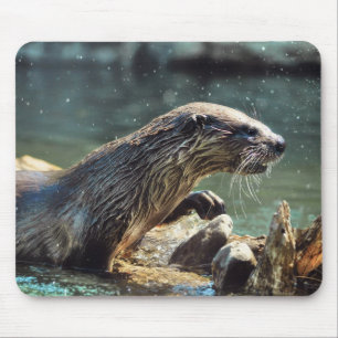 River Otter Animal-lover's Wildlife Photo マウスパッド
