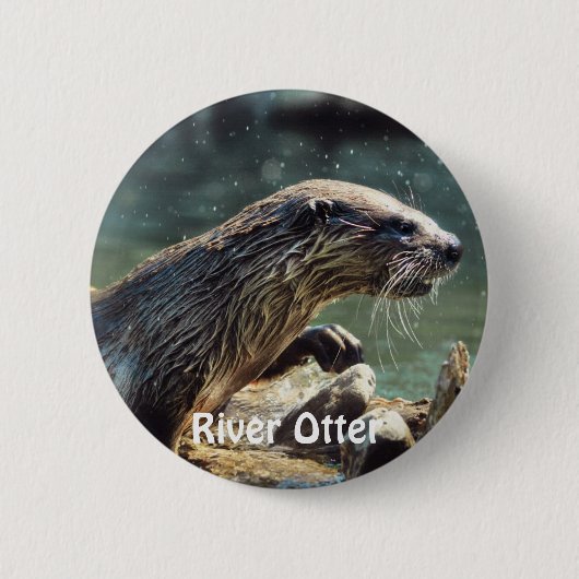 River Otter Animal-lover's Wildlife Photo 缶バッジ (正面)