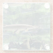 River Pike Fish Waterの澄ん写真 ガラスコースター (裏面)