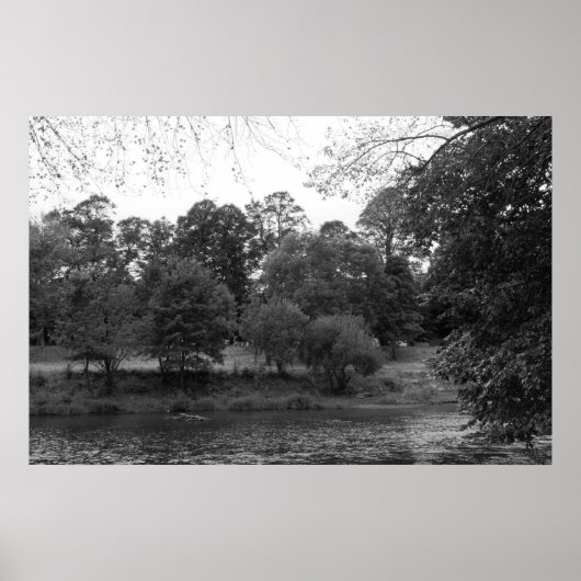 River Taff at Bute Park, Cardiff - BW ポスター (正面)