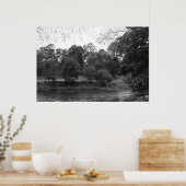 River Taff at Bute Park, Cardiff - BW ポスター (キッチン)