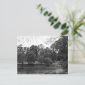 River Taff at Bute Park, Cardiff - BW ポストカード (スタンド正面)