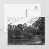River Taff at Bute Park, Cardiff - BW ポストカード (正面/裏面)