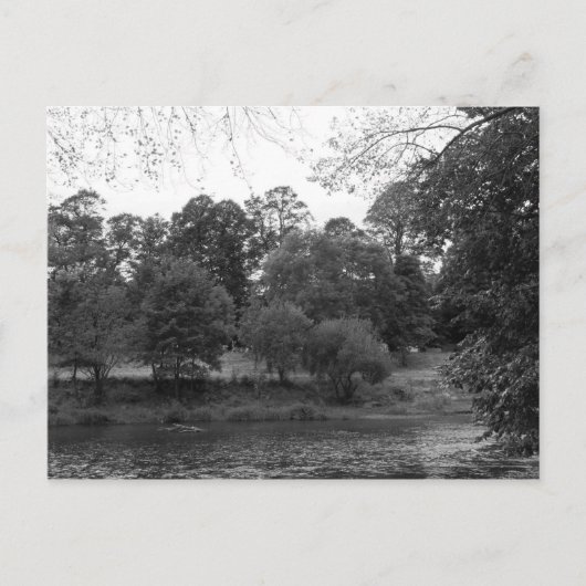 River Taff at Bute Park, Cardiff - BW ポストカード (正面)