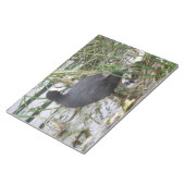 Riverbankメモ帳のCoot ノートパッド (アングル)