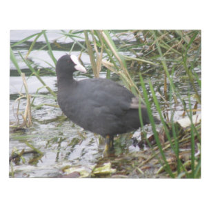 Riverbankメモ帳のCoot ノートパッド
