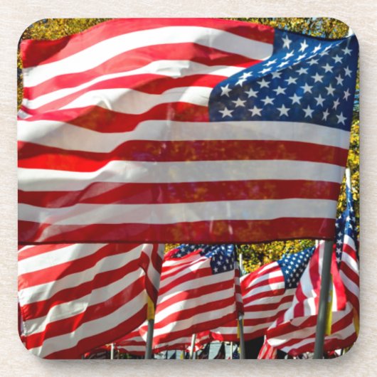 Riverdale、ニューヨーク、米国。 ワインの里 コースター (正面)