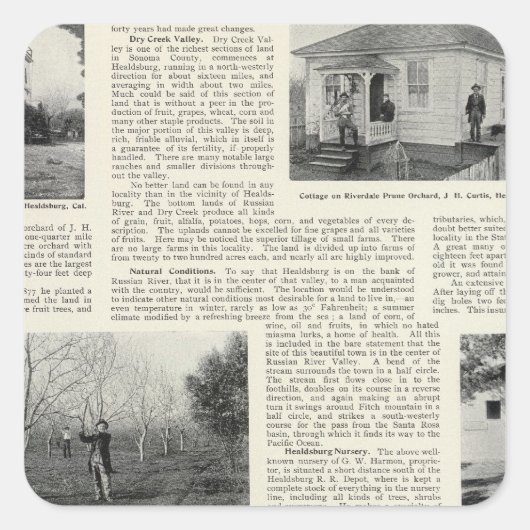 Riverdale Prune Orchard，カリフォルニア スクエアシール (正面)