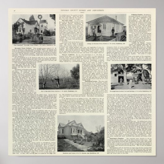 Riverdale Prune Orchard，カリフォルニア ポスター (正面)