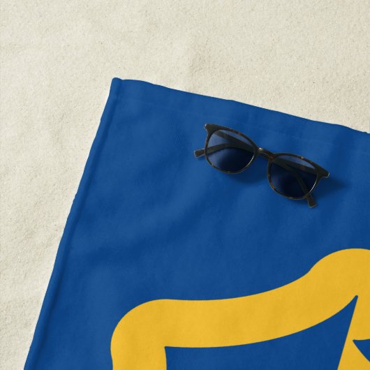 Riverdale River Vixensロゴ ビーチタオル (インサイチュ)