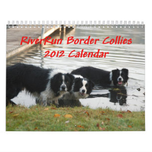 ボーダー コリー 犬カレンダー 壁掛けカレンダー Zazzle Co Jp ボーダー コリー 犬カレンダー 壁掛けカレンダー Zazzle Co Jp