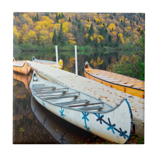 RivièreジェイクスCartier | Rabaskasの波止場 タイル (正面)