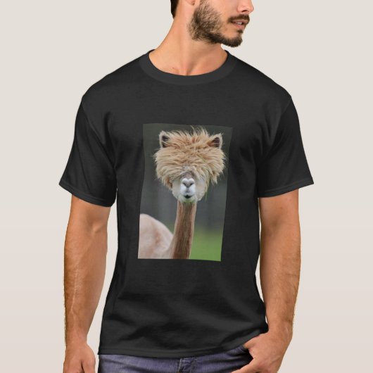 Rizzスタイル Tシャツ (正面)