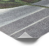 RJソーントン – 青いエジプトの睡蓮 ポスター (角)