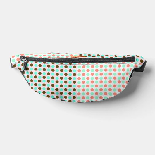 RMD Waist Pack - Mint Chocolate ファニーパック (レイダウン)