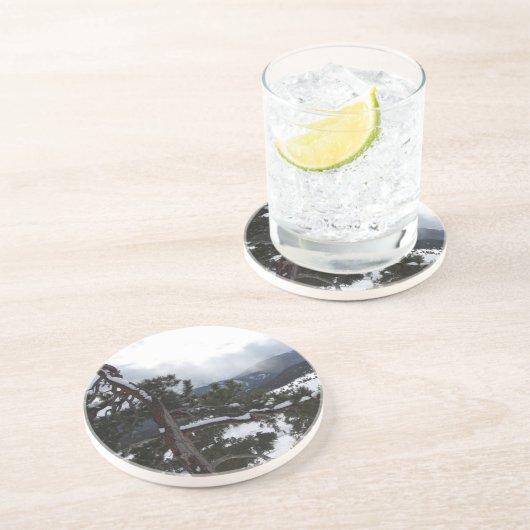 RMNP 1 コースター (側面)