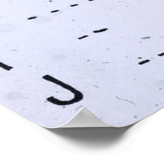 RMSタイタニックヴィンテージモースコードSOS ポスター (角)