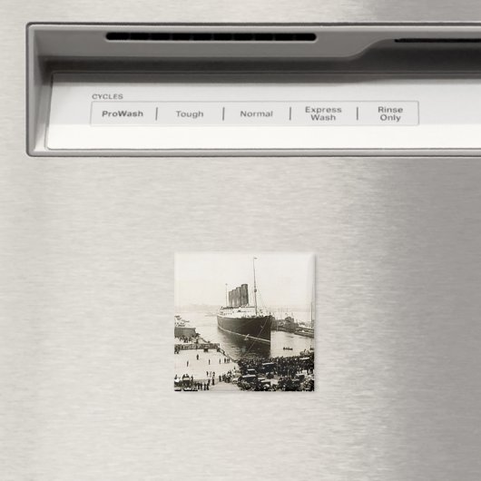 RMSルシタニア マグネット (インサイチュ (食洗機))