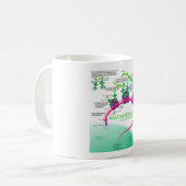 RNA翻訳のタンパク質合成図 コーヒーマグカップ (正面左)