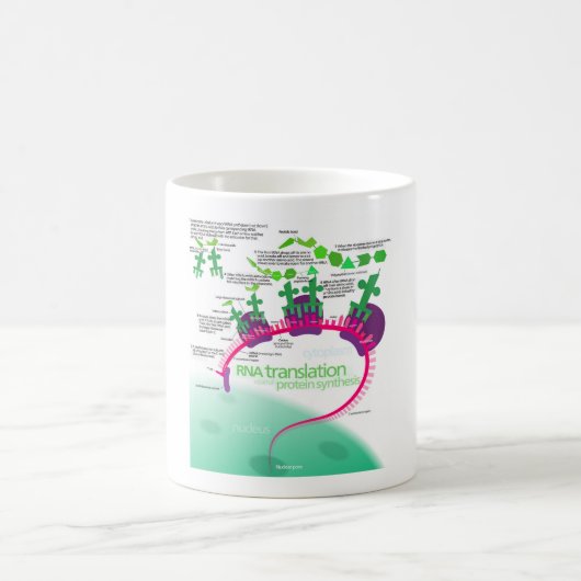 RNA翻訳のタンパク質合成図 コーヒーマグカップ (中央)