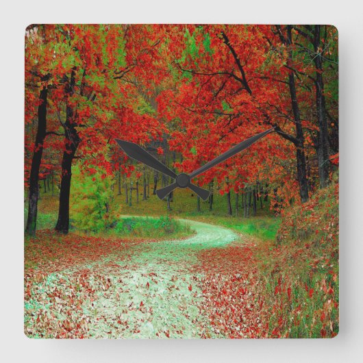 ROAD FOREST TREES BOTANICAL NATURE LANDSCAPE スクエア壁時計 (正面)