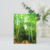 Road in the Woods Post Card ポストカード (スタンド正面)