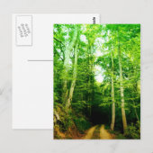 Road in the Woods Post Card ポストカード (正面/裏面)