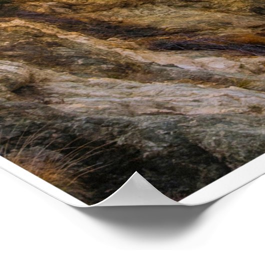 Road Into the Quiet ポスター (角)